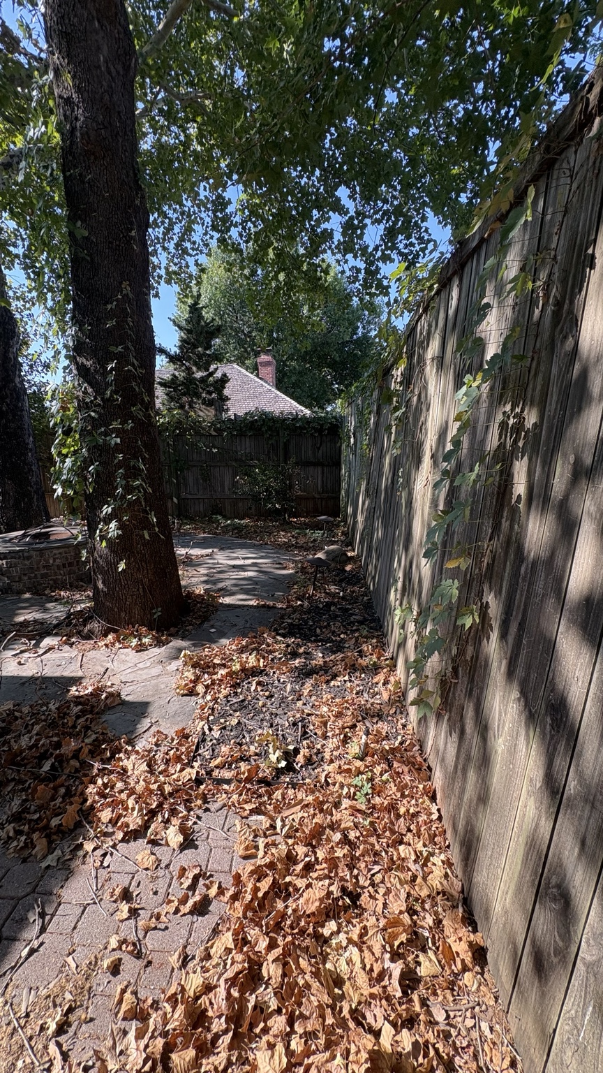 Backyard before transformation