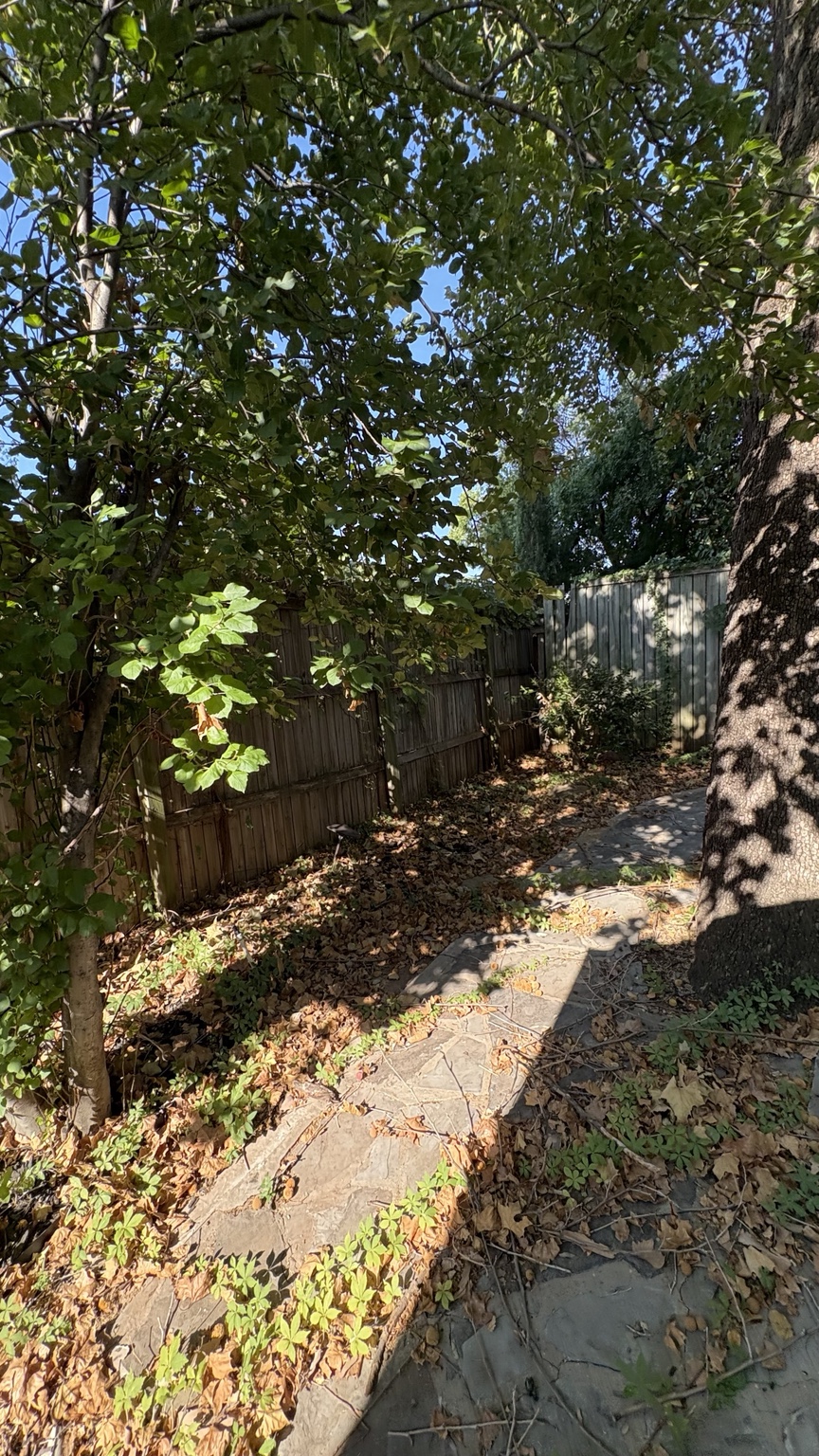 Garden area before work