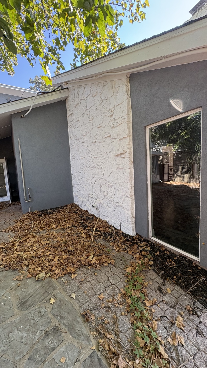 Patio before cleanup