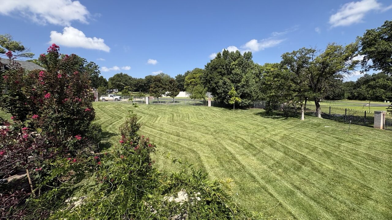 Gonzalez Solutions lawn care project