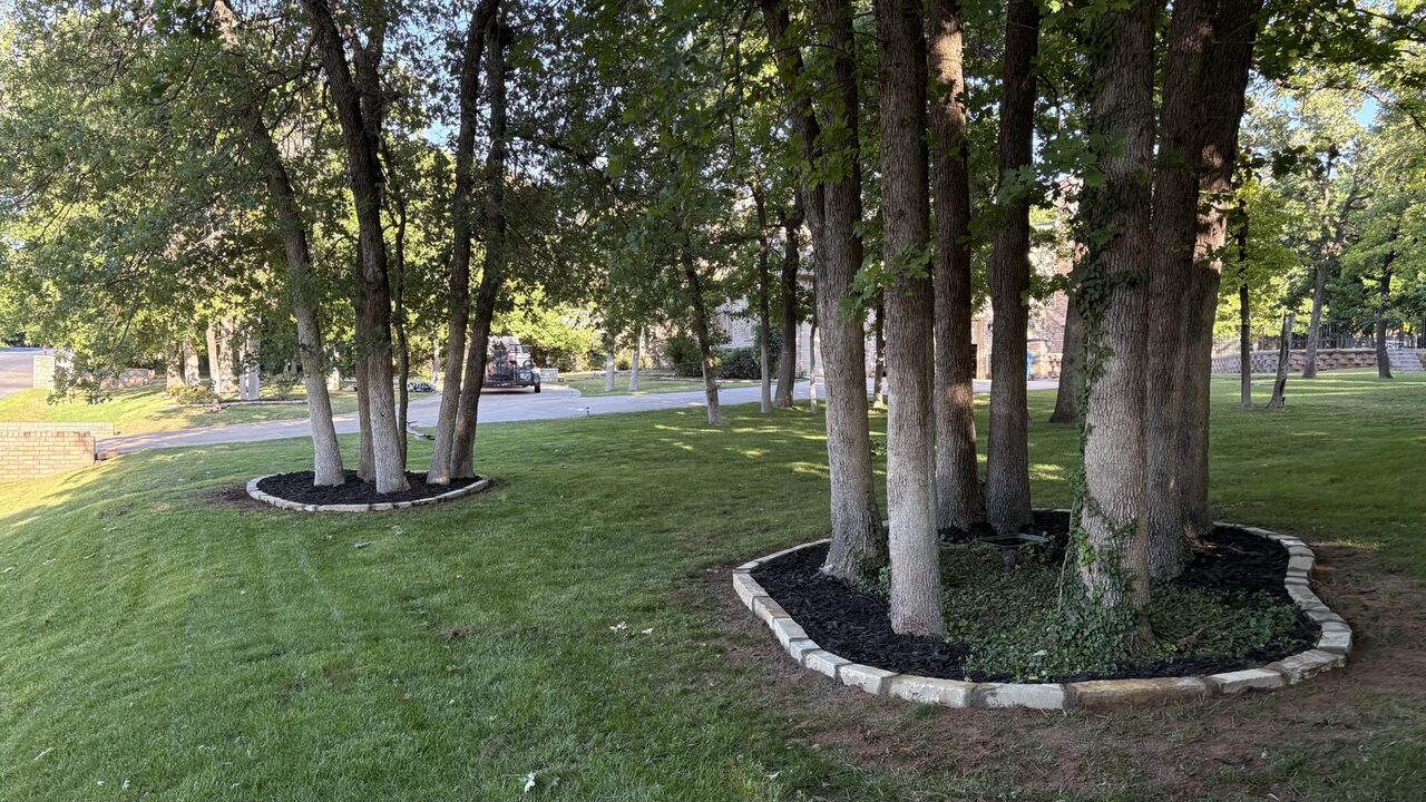 Neatly maintained landscape