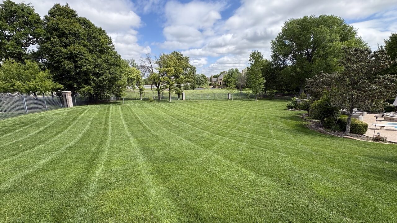 Landscaping result