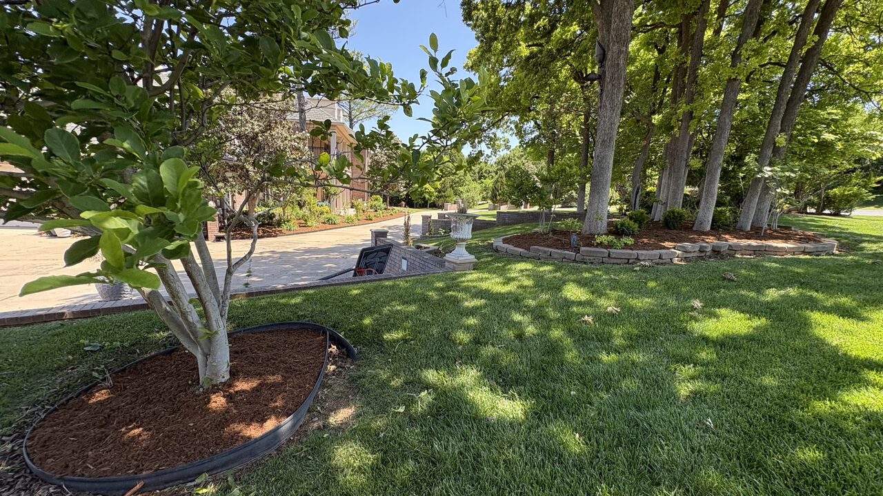 Clean residential lawn